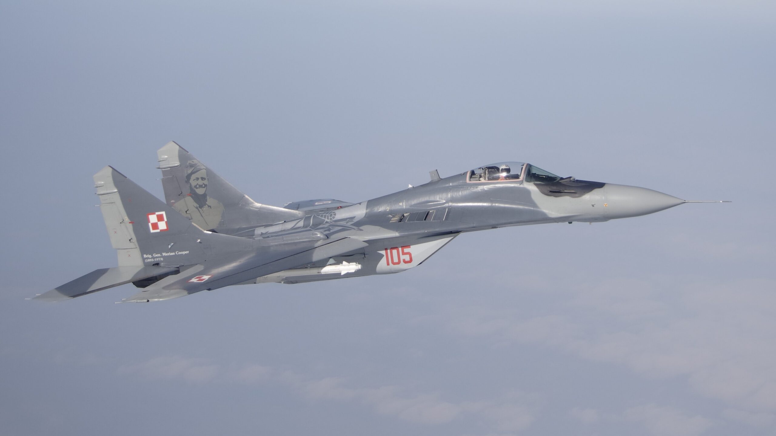 Polish MiG-29
