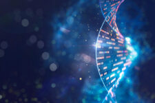 Human genomic DNA molecular structure